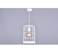 Потолочно-подвесной светильник РОССВЕТ 1х60ВтхE27 РС21179 WT/1P