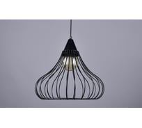 Потолочно-подвесной светильник РОССВЕТ 1х60ВтхE27 РС21067 BK/1P