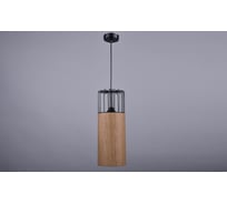 Потолочно-подвесной светильник РОССВЕТ 1х60ВтхE27 РС21719/1P