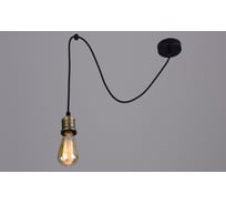 Потолочно-подвесной светильник РОССВЕТ 1х60ВтхE27 РС20821 BK+AB/1P