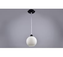 Потолочно-подвесной светильник РОССВЕТ 1х60ВтхE27 РС22634/1