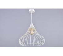 Потолочно-подвесной светильник РОССВЕТ 1*60Вт*E27 РС21067 WT+FG/1P