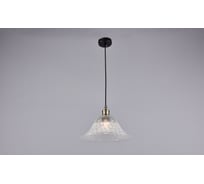 Потолочно-подвесной светильник РОССВЕТ 1х60ВтхE27 РС20771 BK/1P