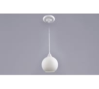 Потолочно-подвесной светильник РОССВЕТ 1х60ВтхE27 РС22635/1