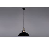 Потолочно-подвесной светильник РОССВЕТ 1*60Вт*E27 РС20913 BK+AB/1P