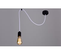 Потолочно-подвесной светильник РОССВЕТ 1*60Вт*E27 РС20818 BK+WT/1P