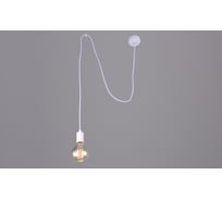 Потолочно-подвесной светильник РОССВЕТ 1х60ВтхE27 РС20815 WT/1P