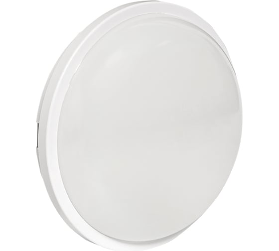 Светодиодный светильник EKF ЖКХ круг ДПО-2012 25Вт 6500K IP65 PROxima BKL-2012-R-25-6500