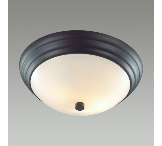 Настенно-потолочный светильник LUMION E27, 2х60W, KAYLA 5263/2C