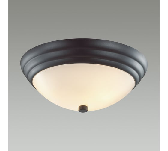 Настенно-потолочный светильник LUMION E27, 2х60W, KAYLA 5263/2C
