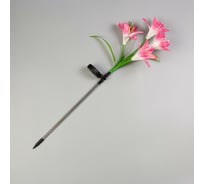 Садовый светильник на солнечной батарее LUAZON "Лилия розовая" 80 см, 4 LED, МУЛЬТИ 7291261