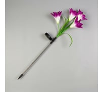 Садовый светильник на солнечной батарее LUAZON "Лилия фиолетовая" 70 см, 4 LED, МУЛЬТИ 7291263