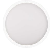 Светодиодный светильник Ritter DPP01-12-4K-MWS-R 12Вт, 4000К, IP65 56033 3