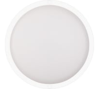 Светодиодный светильник Ritter DPP01-15-4K-MWS-R 15Вт, 4000К, IP65 56034 0