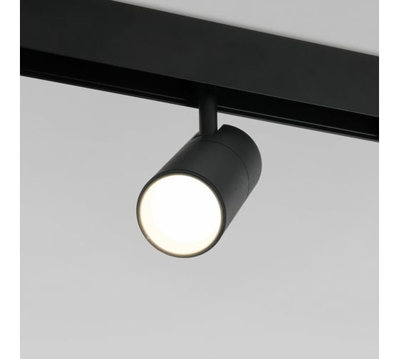 Трековый светильник Elektrostandard Slim Magnetic R01 6W 4200K черный 85011 01 a057199
