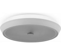 Потолочный светильник Freya 24 Вт FR10012CL-L24W