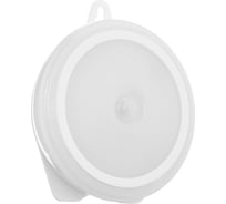 Светодиодный светильник с датчиком движения LUAZON, 6LED, 2,5 Вт, от батареек 3*AAA, 3000К, теплый белый 5198859