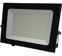 Светодиодный прожектор truEnergy IP65 100W 6500K 8000Lm 260x190мм черный алюминий 13100