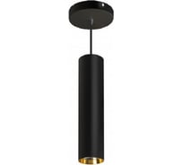 Умный чёрный подвесной спот SIBLING Interior Light-ZSSLB 00-00012819
