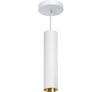Умный белый подвесной спот SIBLING Interior Light-ZSSLW 00-00012818