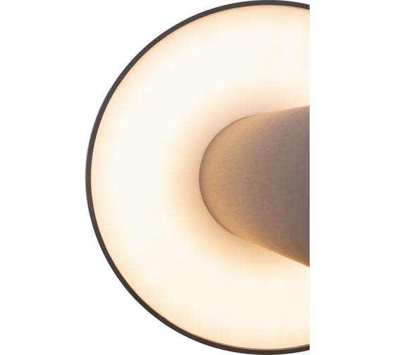 Уличный фонарь (столб) MAYTONI Wald O420FL-L12GF