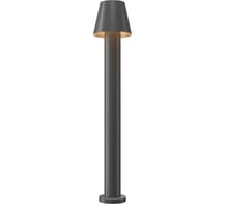 Уличный фонарь (столб) MAYTONI Harz O421FL-L5GF