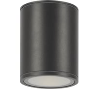 Потолочный светильник MAYTONI Bar O306CL-L12GF