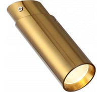Накладной светильник FAVOURITE 2799-1U