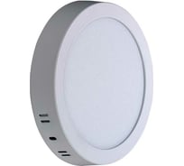 Светодиодный накладной светильник truEnergy круг 12W 4000K 790Lm D160мм белый алюминий 10102