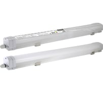Светодиодный светильник TDM ELECTRIC LED ДПП 600 16Вт, 6500К, 1200лм, IP65, компакт, Народный SQ0366-0127
