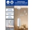Потолочный светильник FERON ML1828 Barrel tilt на подвесе MR16 35W 230V, белый, золото 48042 2