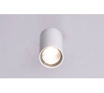 Настенно-потолочный светильник РОССВЕТ 1*60Вт*GU10 РС21863 WT+CR/1C