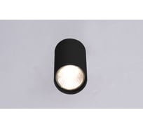 Настенно-потолочный светильник РОССВЕТ 1*60Вт*GU10 РС21854 BK+CR/1C