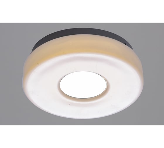 Настенно-потолочный светильник РОССВЕТ 1*12Вт*LED РС21989/1 1