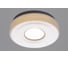 Настенно-потолочный светильник РОССВЕТ 1*12Вт*LED РС21989/1 1