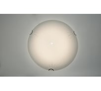 Настенно-потолочный светильник РОССВЕТ LED-модуль*24Вт*LED РС20989 WT/1