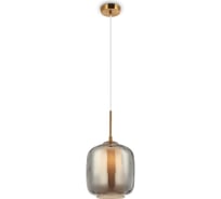 Подвесной светильник MAYTONI Dolce 1хE27x40 W MOD001PL-01GR