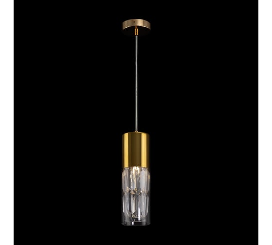 Подвесной светильник MAYTONI Wonderland 1хE14x60 W MOD313PL-01G