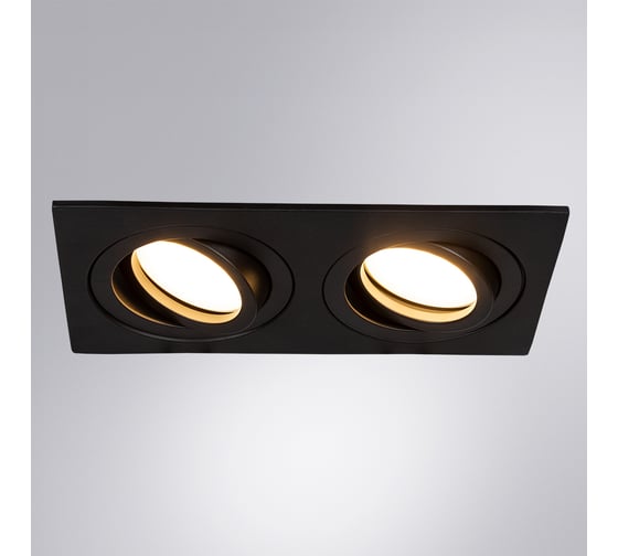 Светильник ARTE LAMP TARF A2168PL-2BK