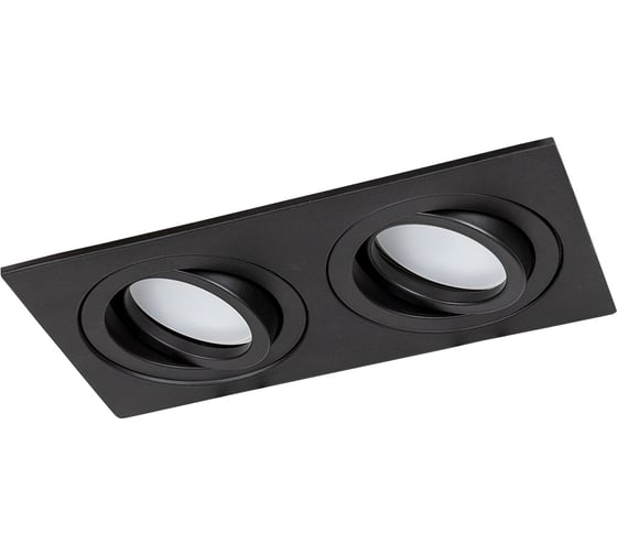 Светильник ARTE LAMP TARF A2168PL-2BK