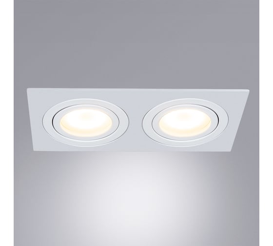 Светильник ARTE LAMP TARF A2168PL-2WH