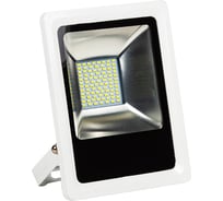 Светодиодный прожектор MAKSILED 30 Вт 90-264В IP65 1890 лм 6500 K холодный свет ML-FLN-30W-W