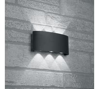 Уличный светодиодный светильник FERON DH101, 6x1W, 450Lm, 3000K, черный 48100