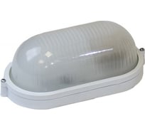 Накладной светильник ЮПИТЕР НБП 100 Вт IP54 овальный белый JP1302-01