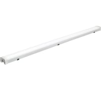 Светодиодный светильник Jazzway PWP-С3 1200 SHOPLIGHT 40Вт 6500К IP65 4640лм ДСП 5039360