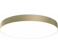 Потолочный светильник MAYTONI Zon 96W 4000K C032CL-L96MG4K