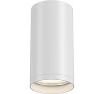 Потолочный светильник MAYTONI FOCUS S C052CL-01W 1xGU10x10W C052CL-01W