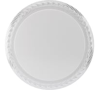 Настенно-потолочный светодиодный светильник REXANT Frame 36 Вт 2700-6500К d 37 см 650-1009