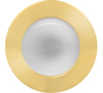 Встраиваемый светильник De Fran R80 E27 220В золото, FT 9238-80 G