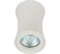 Настенно-потолочный светильник ЭРА спот OL19 WH MR16/GU10, белый, Б0054388